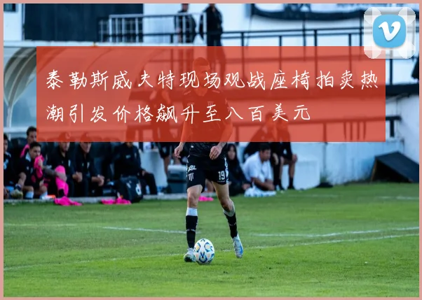 泰勒斯威夫特现场观战座椅拍卖热潮引发价格飙升至八百美元